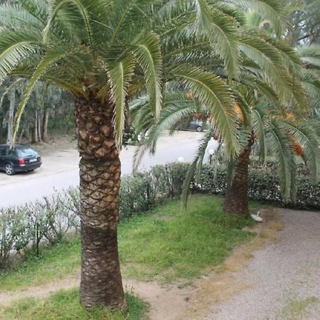 T2 Calvi Entierement Equipe A 150M De La Plage. エクステリア 写真