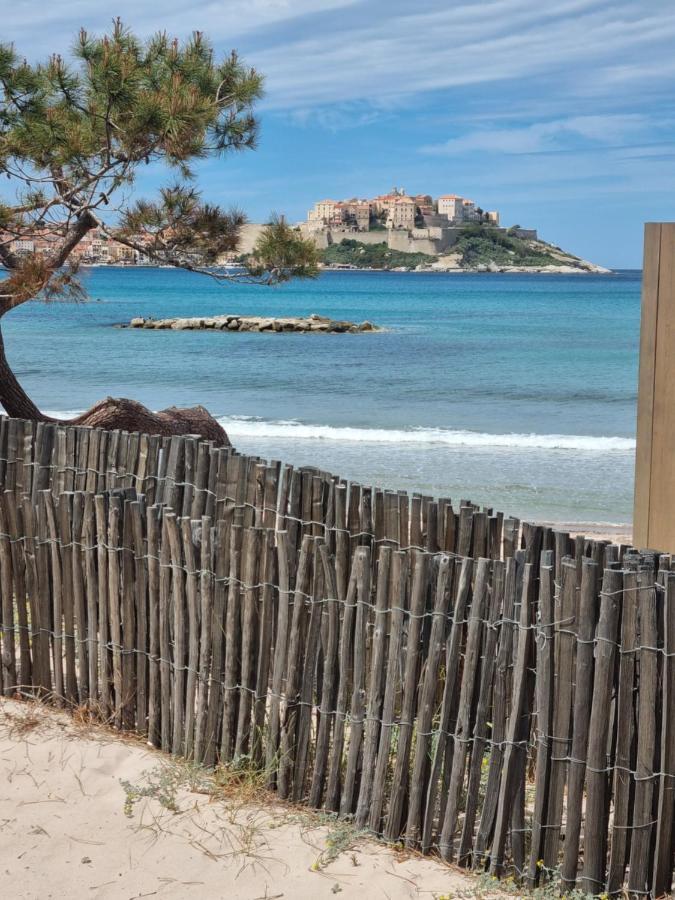 T2 Calvi Entierement Equipe A 150M De La Plage. エクステリア 写真